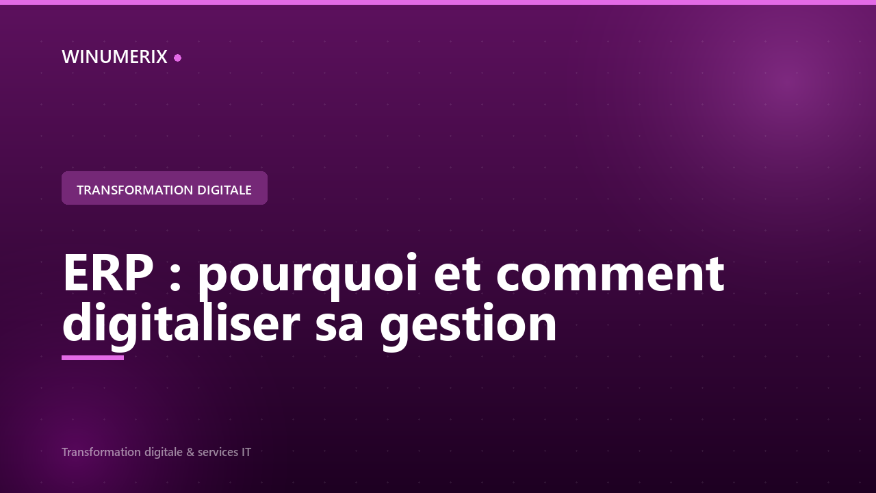 ERP : pourquoi et comment digitaliser sa gestion